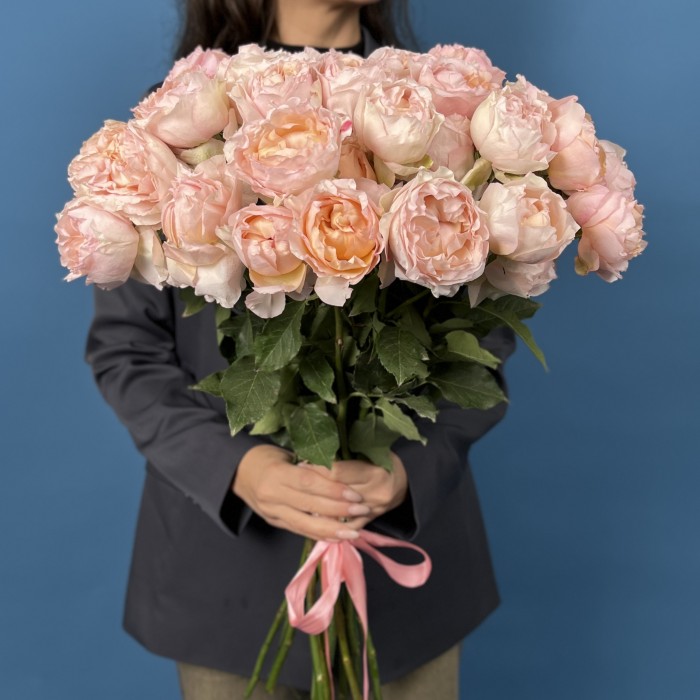 Кустовая пионовидная роза Джульетта Хани 60 см